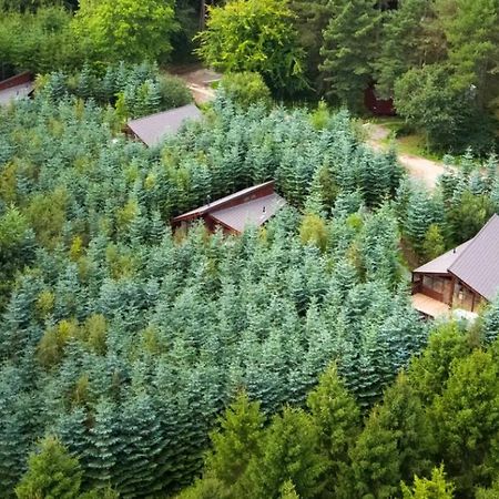 Delamere Forest Cabins - Forest Holidays Mouldsworth Ngoại thất bức ảnh