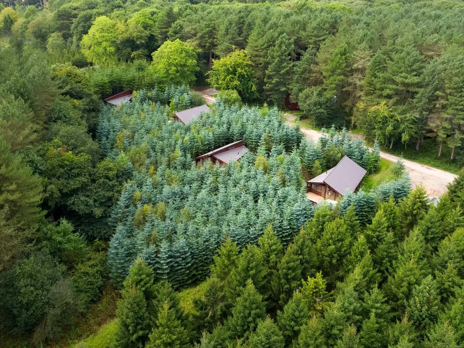 Delamere Forest Cabins - Forest Holidays Mouldsworth Ngoại thất bức ảnh